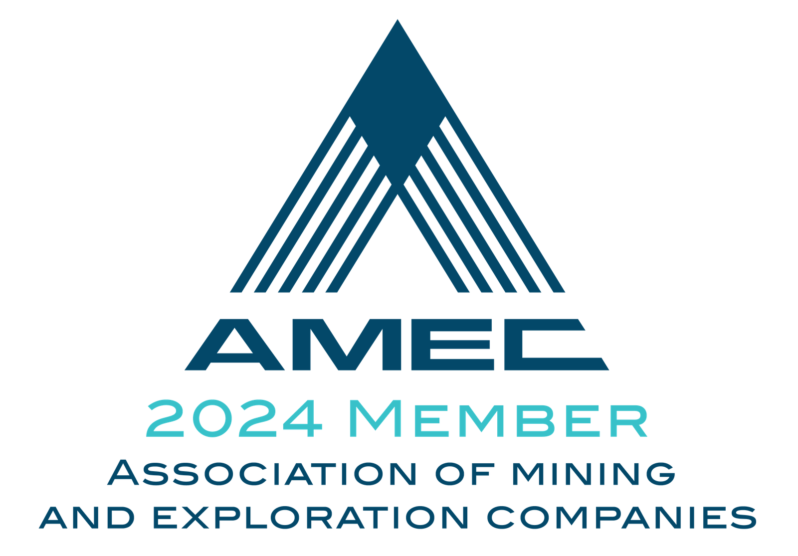 AMEC Member 2024