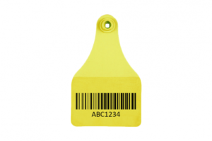 Large Tag