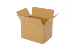 Chip Tray Carton
