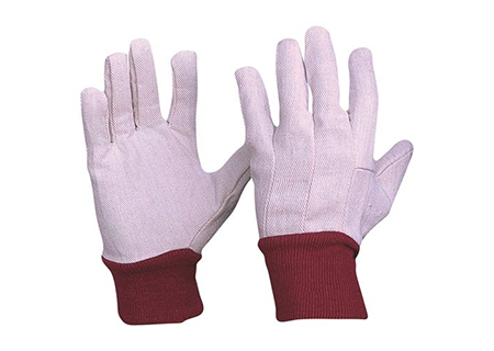 Gloves Cotton Drill  Knitted Cuff